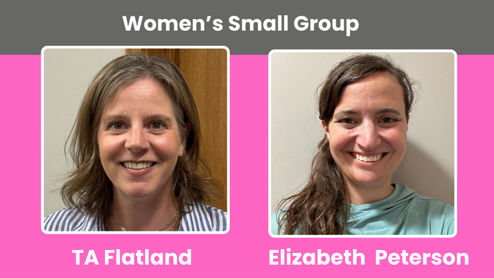 Logo for Women's Small Group: Flatland/Peterson