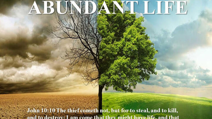 Logo for Pro Abundant Life: Making Life Disciples