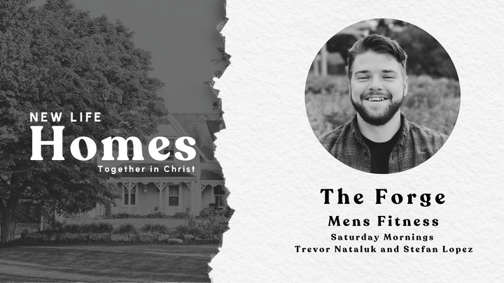 Logo for The Forge - Mens Fitness