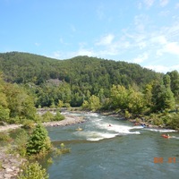 Logo for YoPro CO-ED Group