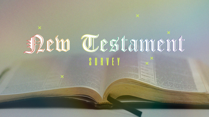 Logo for New Testament Survey - Olathe