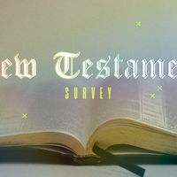Logo for New Testament Survey - Olathe
