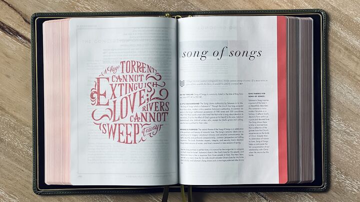 Logo for A Simple Study of the Song of Solomon (It's Not What You Think!)