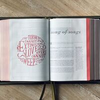 Logo for A Simple Study of the Song of Solomon (It's Not What You Think!)