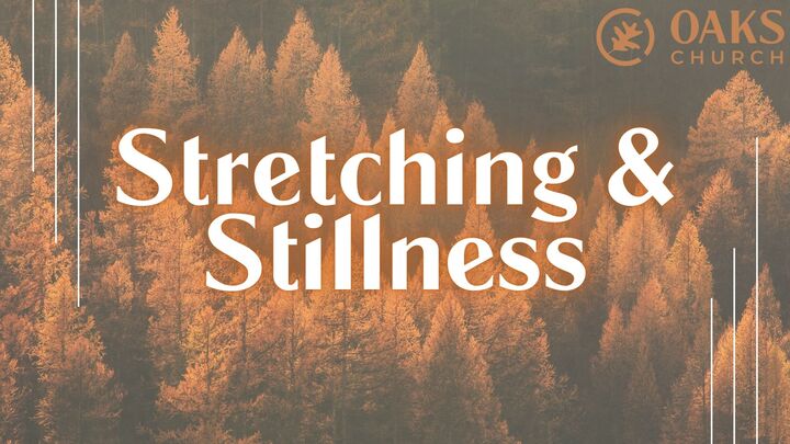 Logo for Stretching & Stillness (Ladies Only)