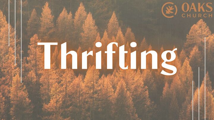 Logo for Thrifting (Ladies Only)