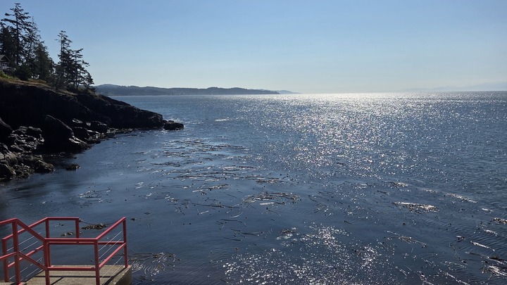 Logo for Joanne's Women's Small Group