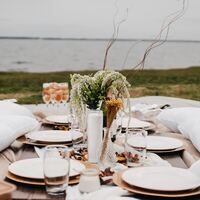 Logo for Ladies Lunch