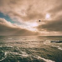 Logo for Anointing - His Presence