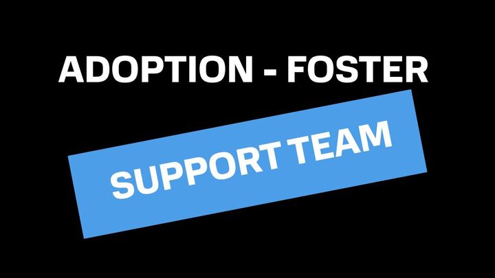 Logo for Adoption/Foster Support