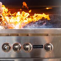 Logo for College Guys Dinner Party