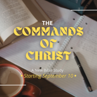 Logo for The Commands of Christ