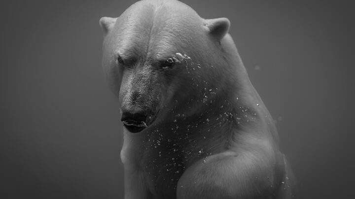 Logo for Ten Men of the Bible