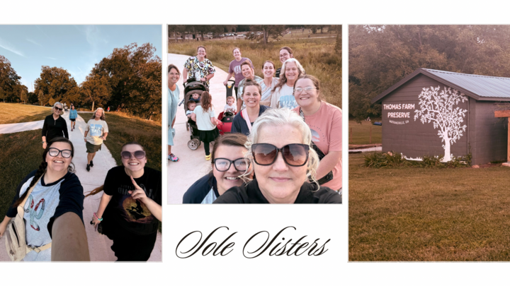 Logo for Sole Sisters