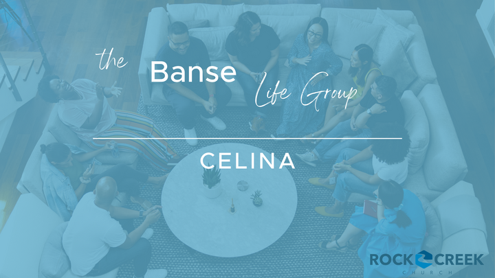 Logo for The Banse Life Group