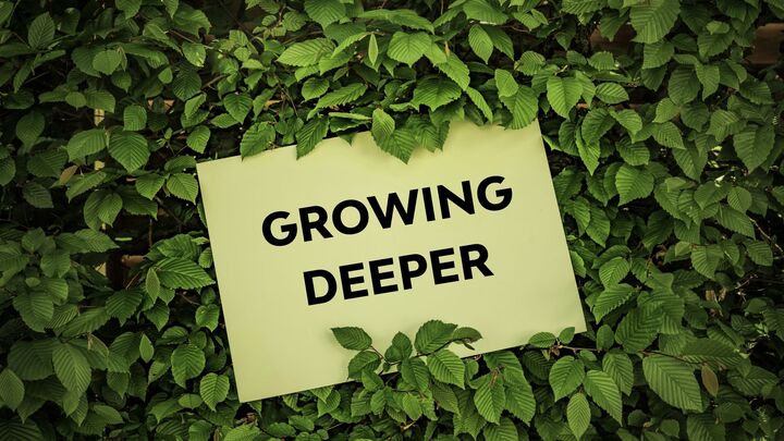 Logo for Growing Deeper Women's Connect Group