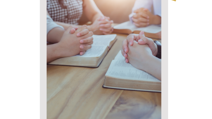 Logo for LIFE GROUP - Bible Study