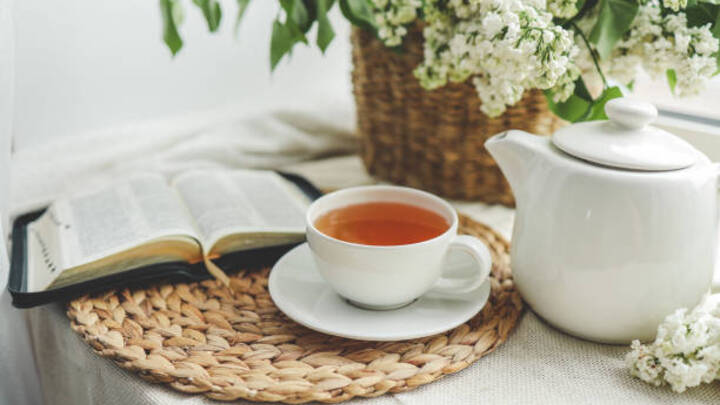 Logo for Sisters in Christ - Evening Group