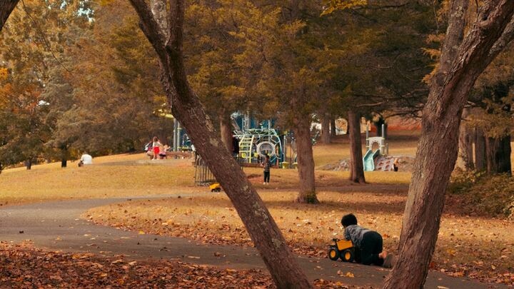 Logo for Homeschooled