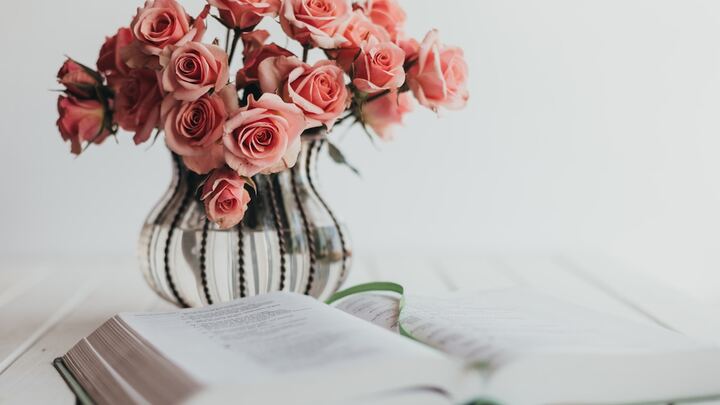 Logo for Ladies' Psalm 91 Bible Study Group