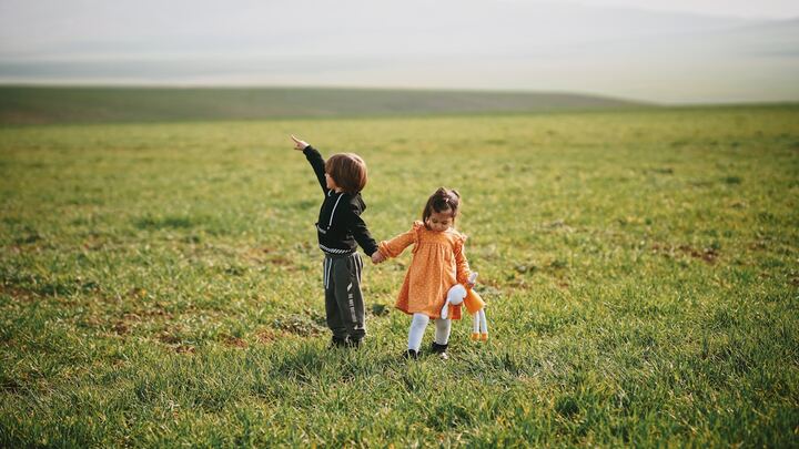 Logo for Field & Fortress | Homeschool Group (Women's)