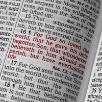 Logo for Discipleship 101