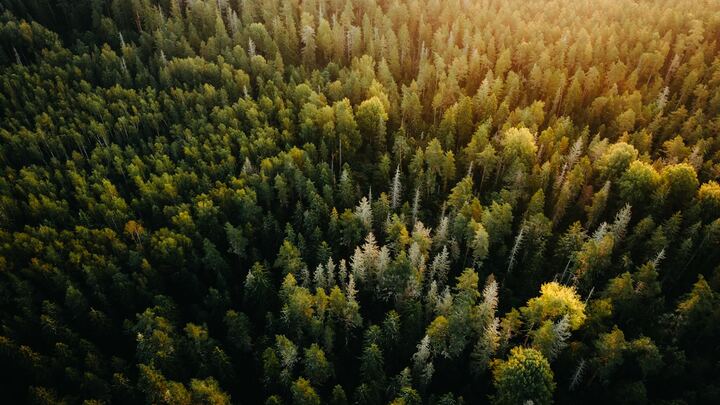 Logo for Interested in Leading a Small Group