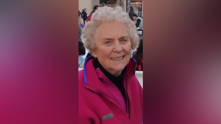 Logo for Debbie Snow