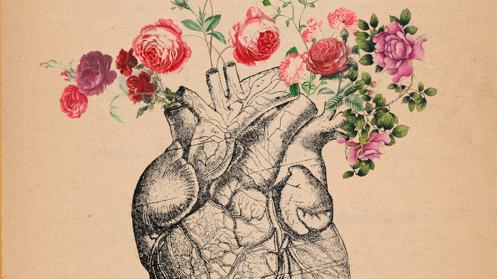 Logo for Ladies PLANTED Fam Group