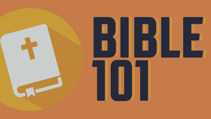 Logo for Bible 101