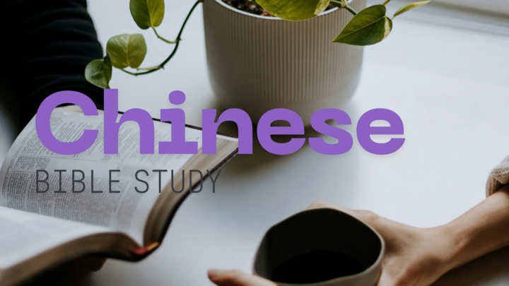 Logo for Chinese Bible Study