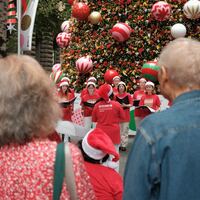 Logo for Christmas Concert Choir