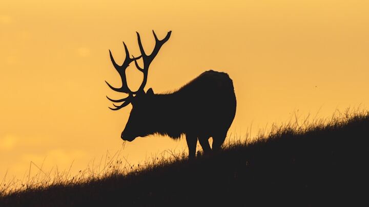 Logo for Men's Bible Study Thursday 6:30 AM