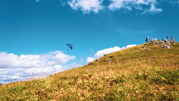 Logo for Young Families