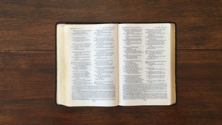 Logo for East Van North