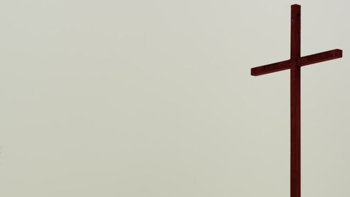 Logo for Monday Night Devoted Group
