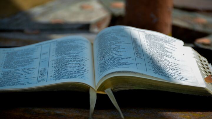 Logo for Sisterhood Sermon Recap