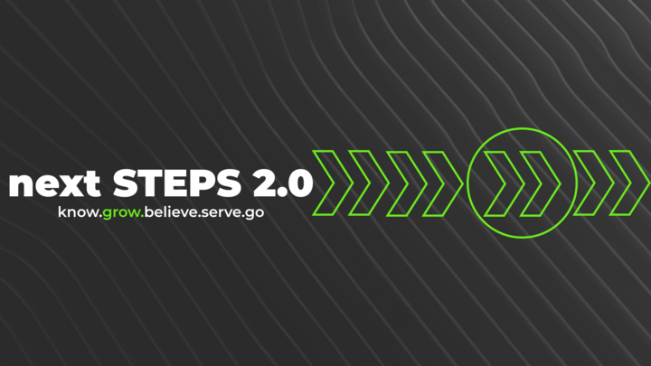 Logo for next STEPS 2.0 - GROW