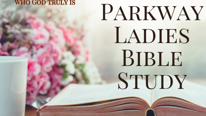 Logo for Ladies Bible Study - Names of God