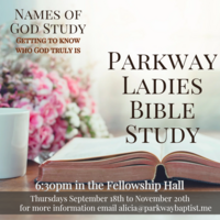 Logo for Ladies Bible Study - Names of God