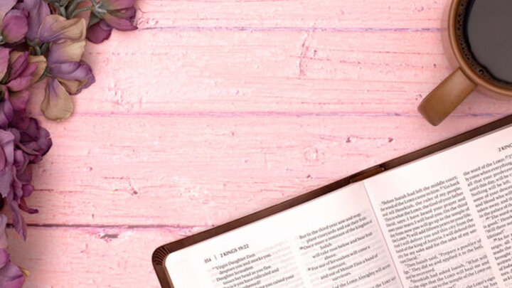 Logo for Julie's Bible Study for Women