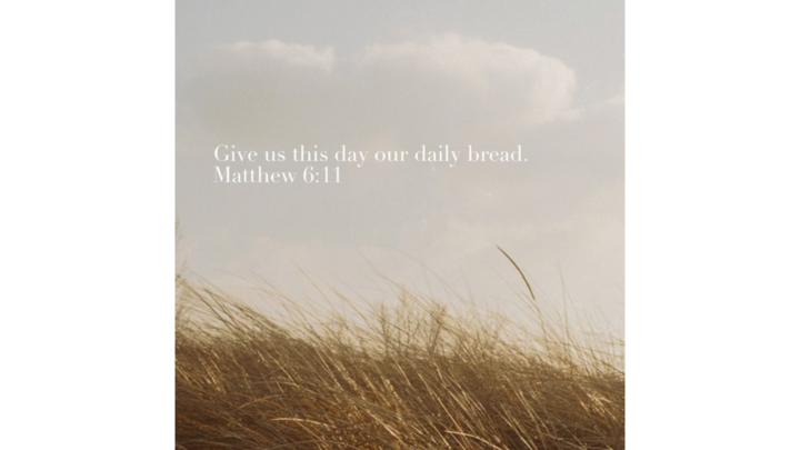 Logo for Daily Bread