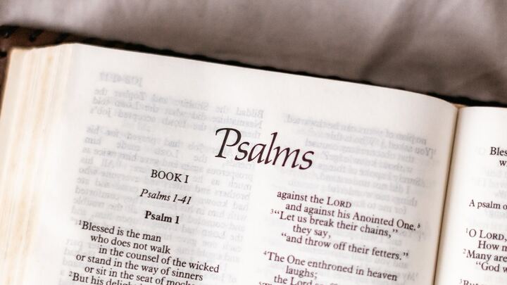 Logo for Psalms & Proverbs 3x Bible Reading Group - Fall 2025