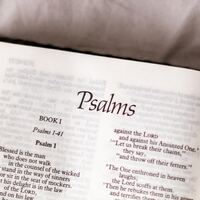 Logo for Psalms & Proverbs 3x Bible Reading Group - Fall 2025