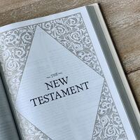 Logo for New Testament Bible Reading Group, Wednesdays - Fall 2025