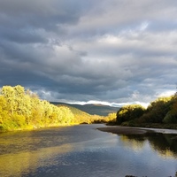 Logo for Bulaga Life Group