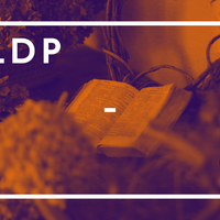 LDP 1 (2018)