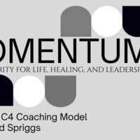 Logo for Momentum