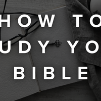 Logo for How To Study Your Bible - Afternoon