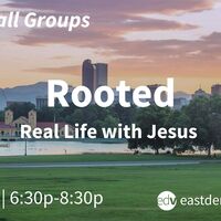 Rooted